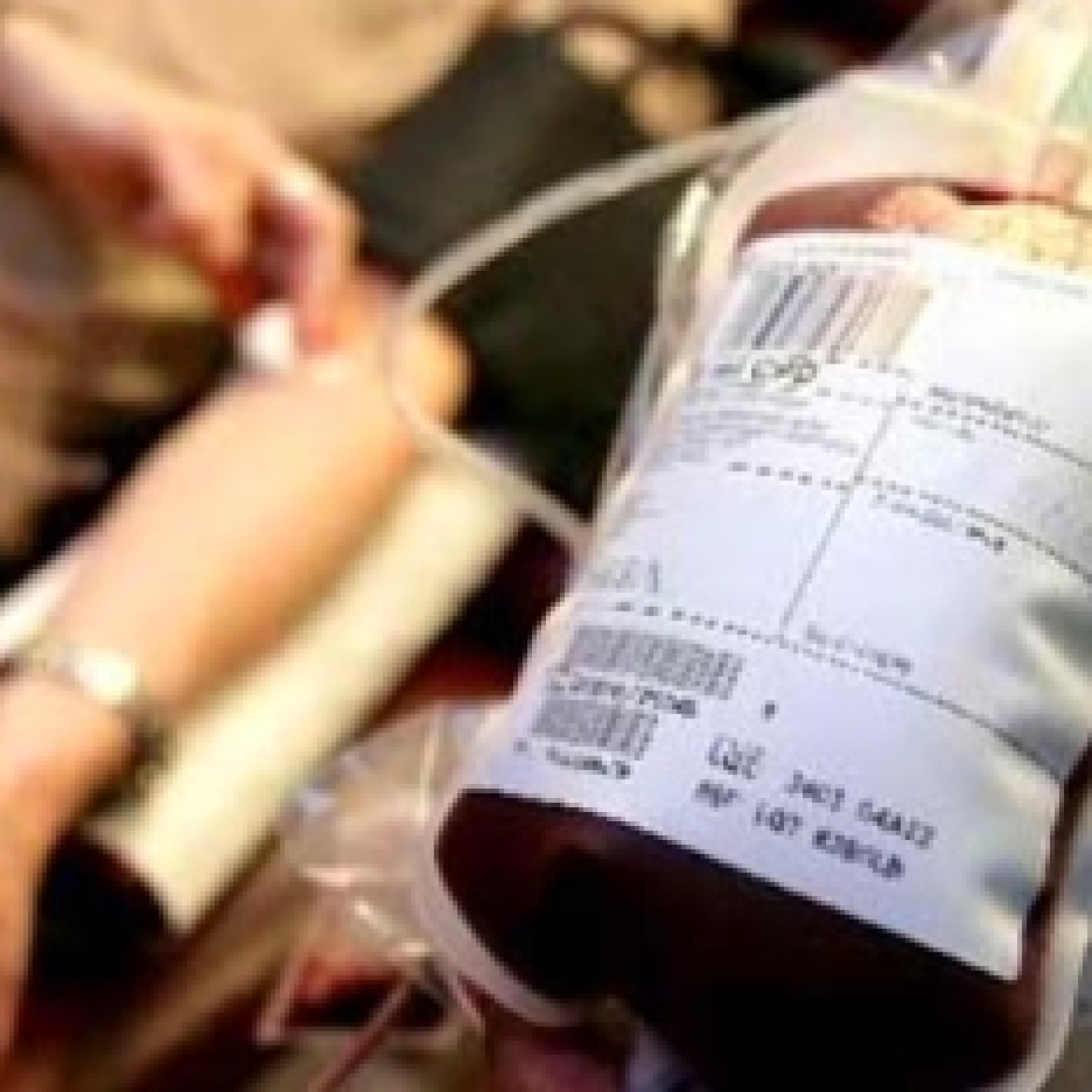 CASTRO URDIALES MÁS DE UNO