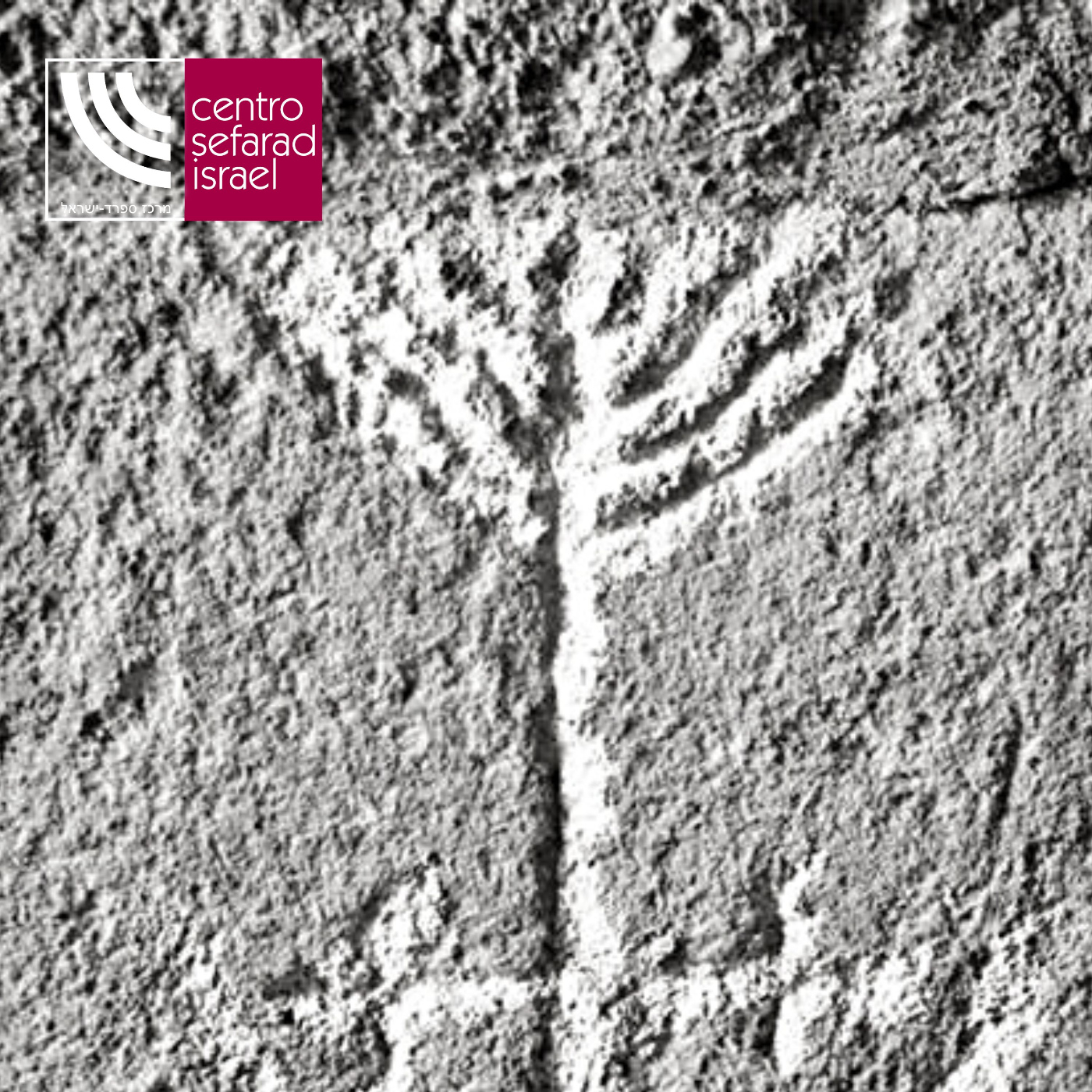 Actividades de Centro Sefarad-Israel