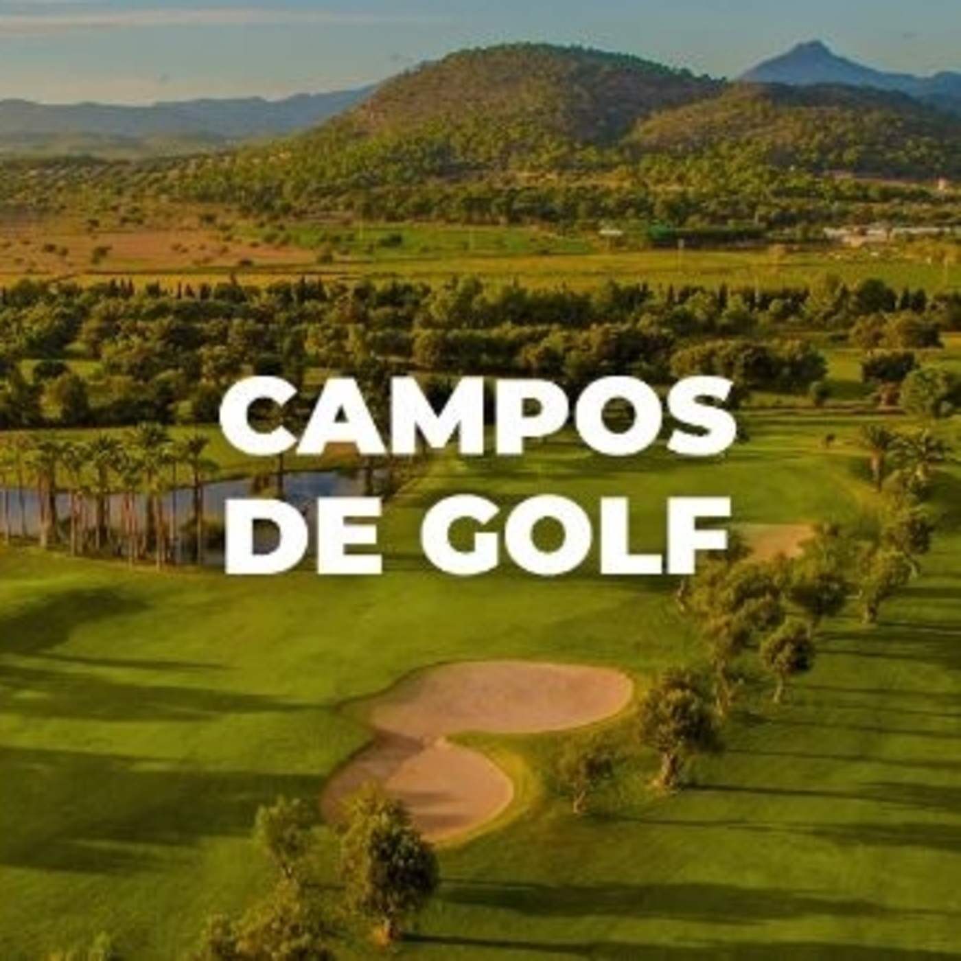 Visit Calvià