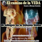 16x1 P92 El milagro de la Sábana Santa