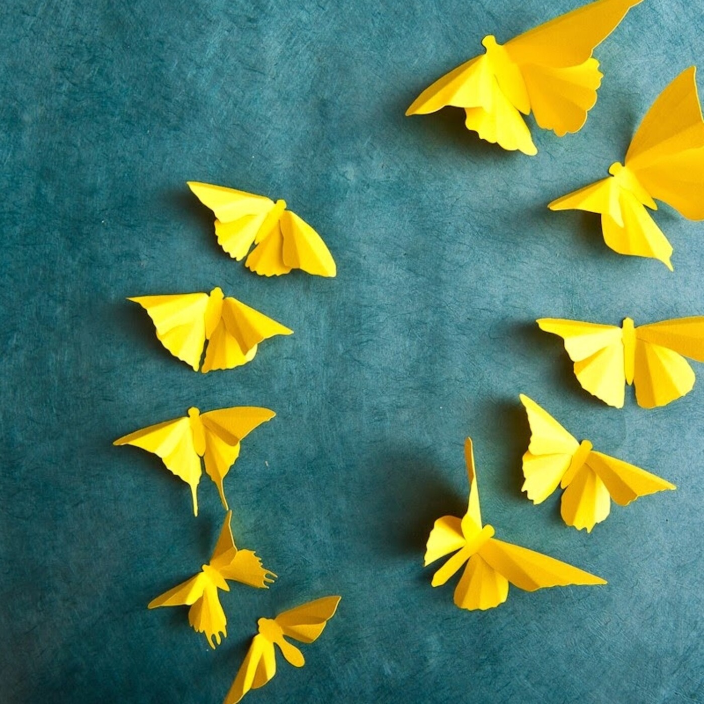 El vuelo de las mariposas (Podcast por el Día del Inmigrante) episode artwork