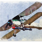 MASM 02 - Historia del Torpedo aéreo