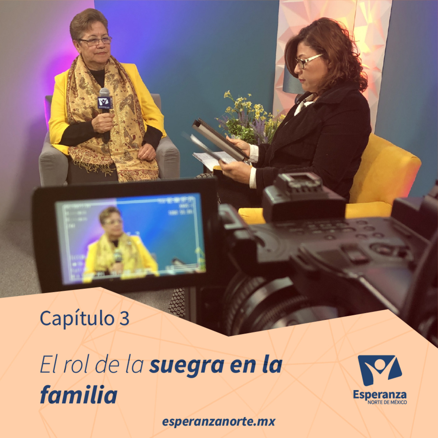 El rol de la suegra en la familia episode artwork