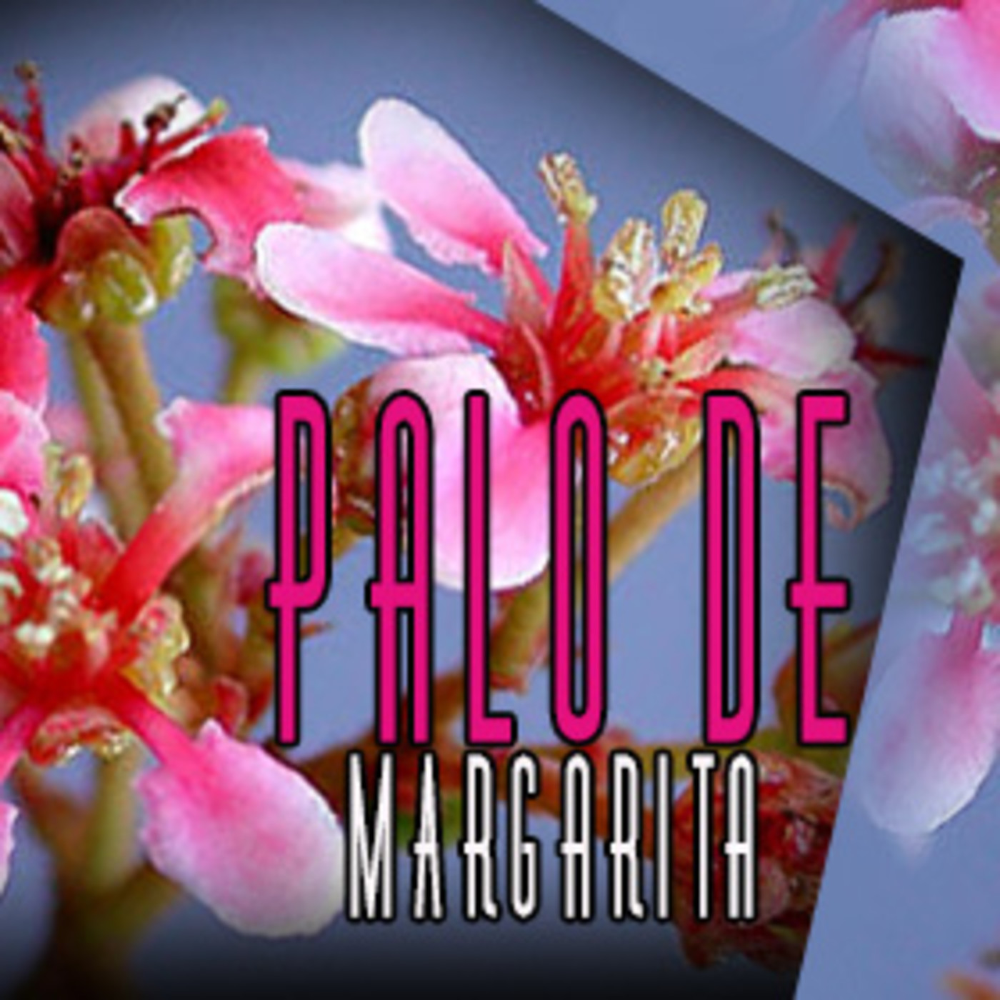El Angel de tu Salud - PALO MARGARITA episode artwork