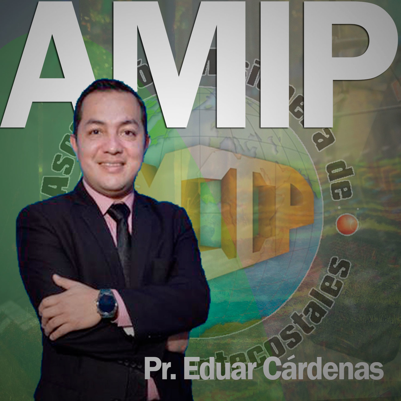 AMIP Institucional