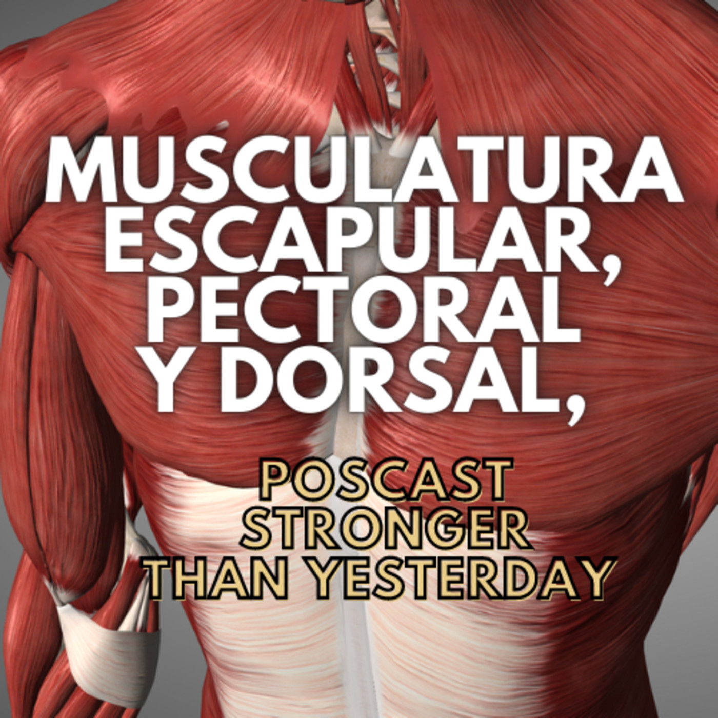 STRONGER THAN YESTERDAY (Spanish)