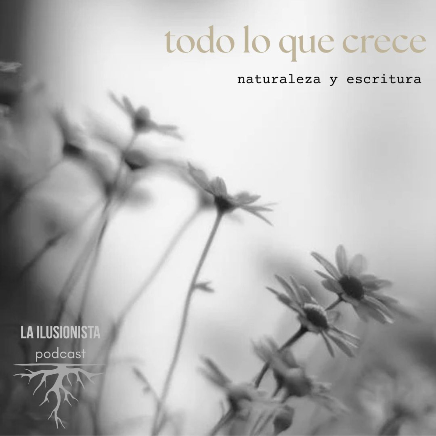 La Ilusionista