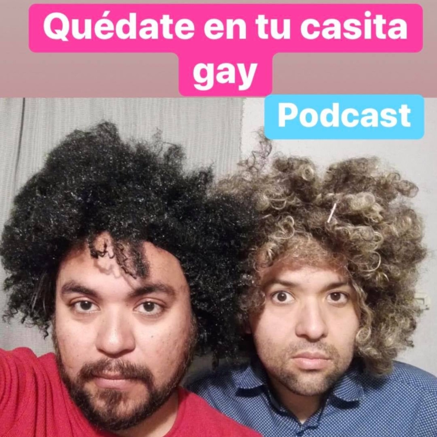 Quédate en tu casita GAY