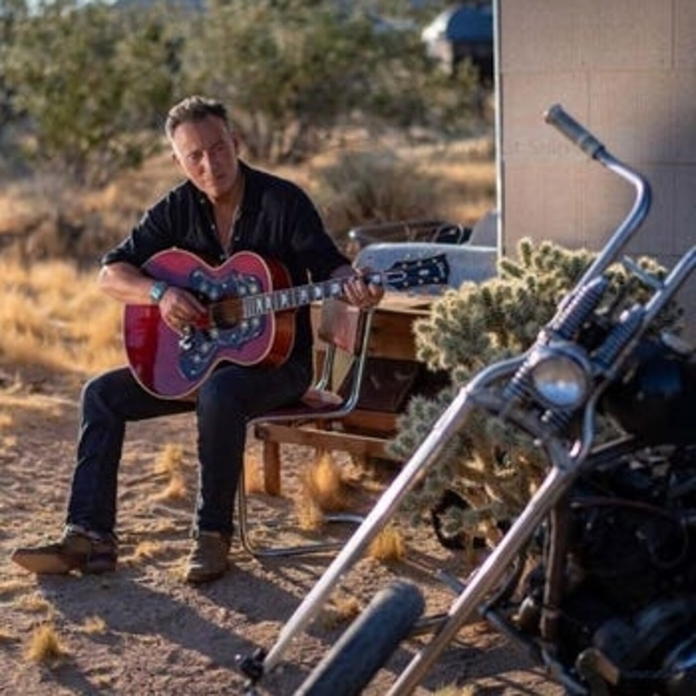 Springsteen En Podcast