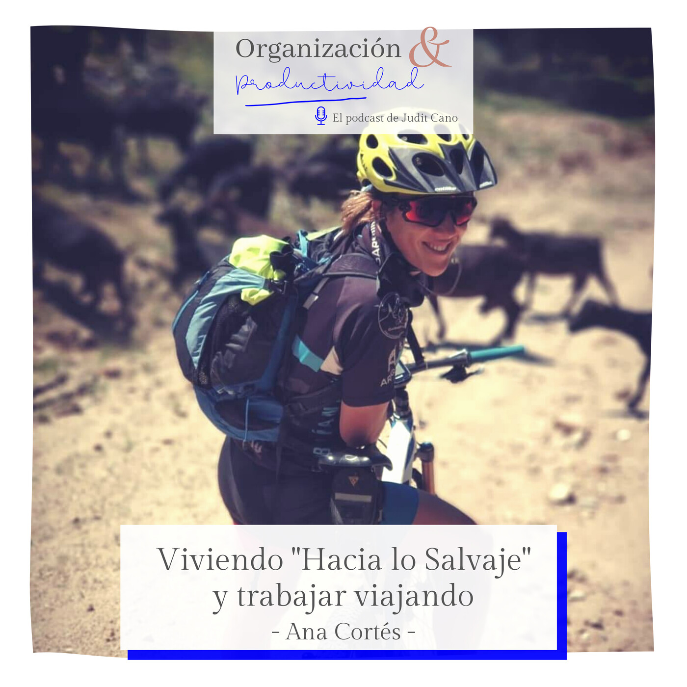 Hablando claro de negocios digitales - By Jud Cano