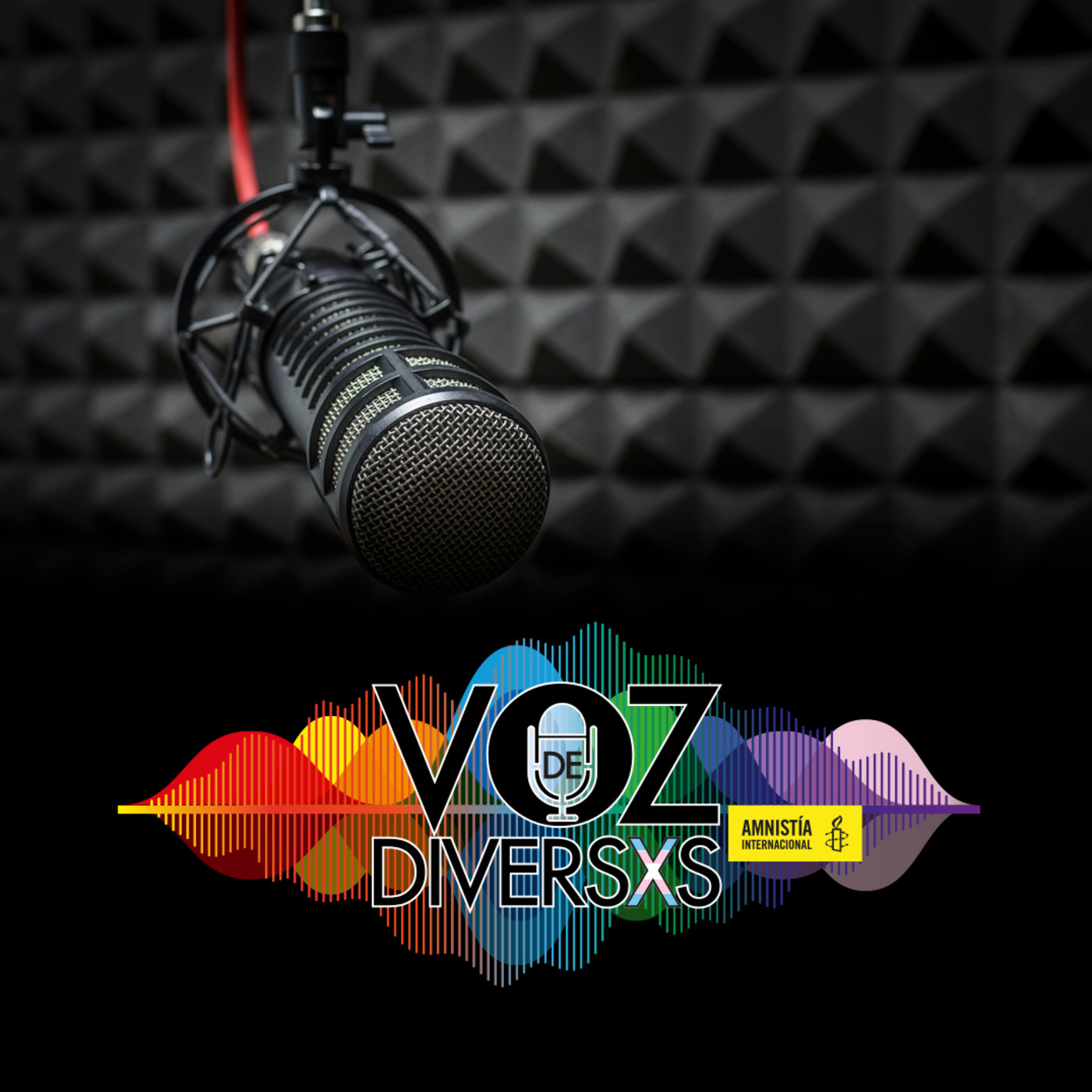 Voz de Diversxs