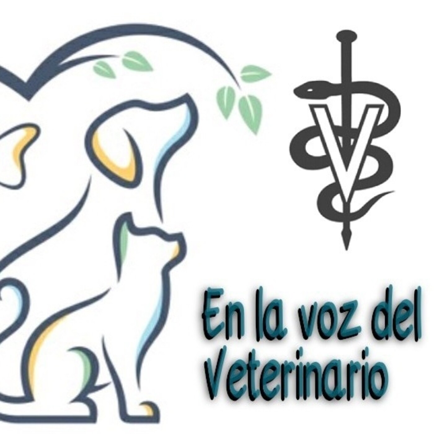 En la Voz del Veterinario 110521 p137 episode artwork