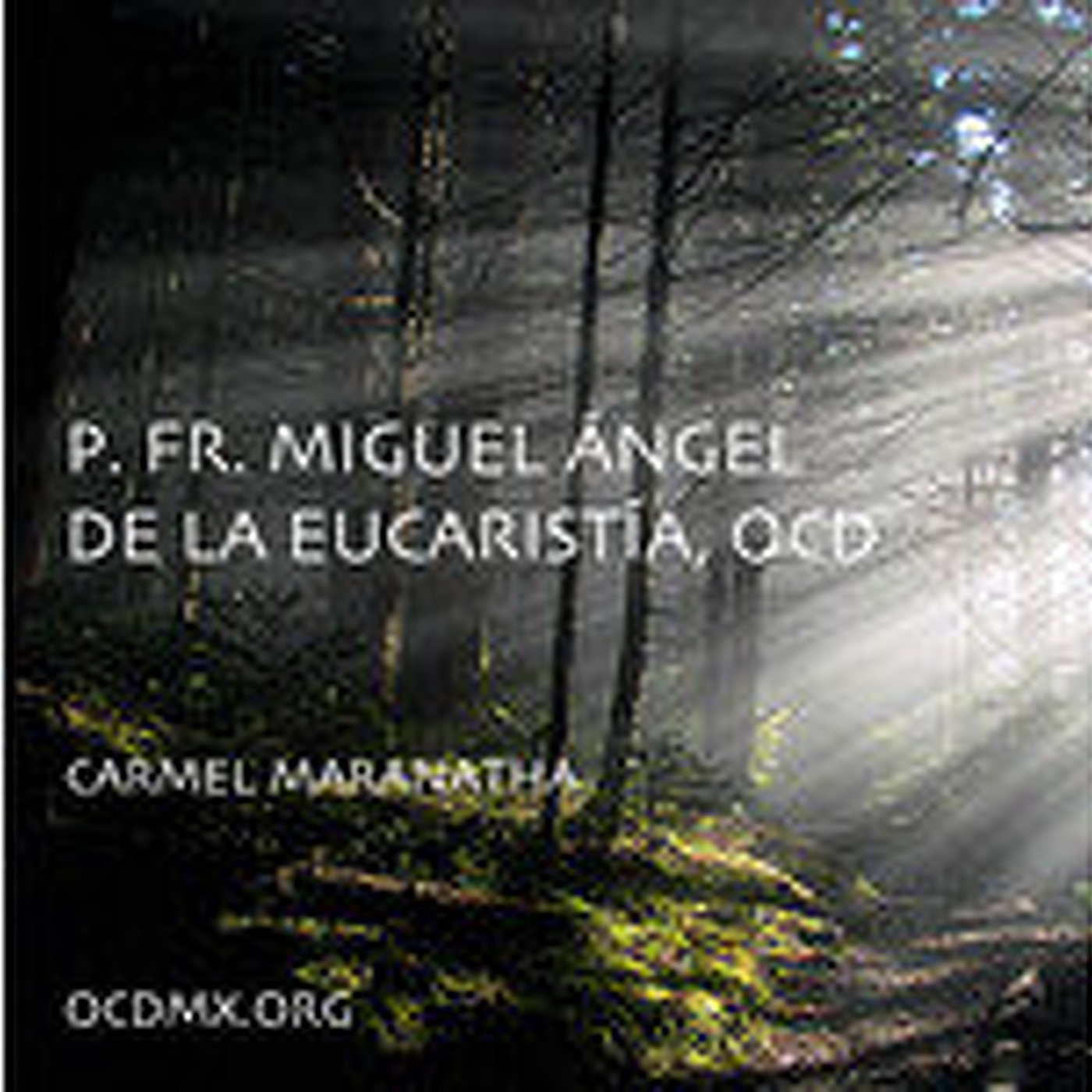 0502 La oracion de Jesus 2 episode artwork