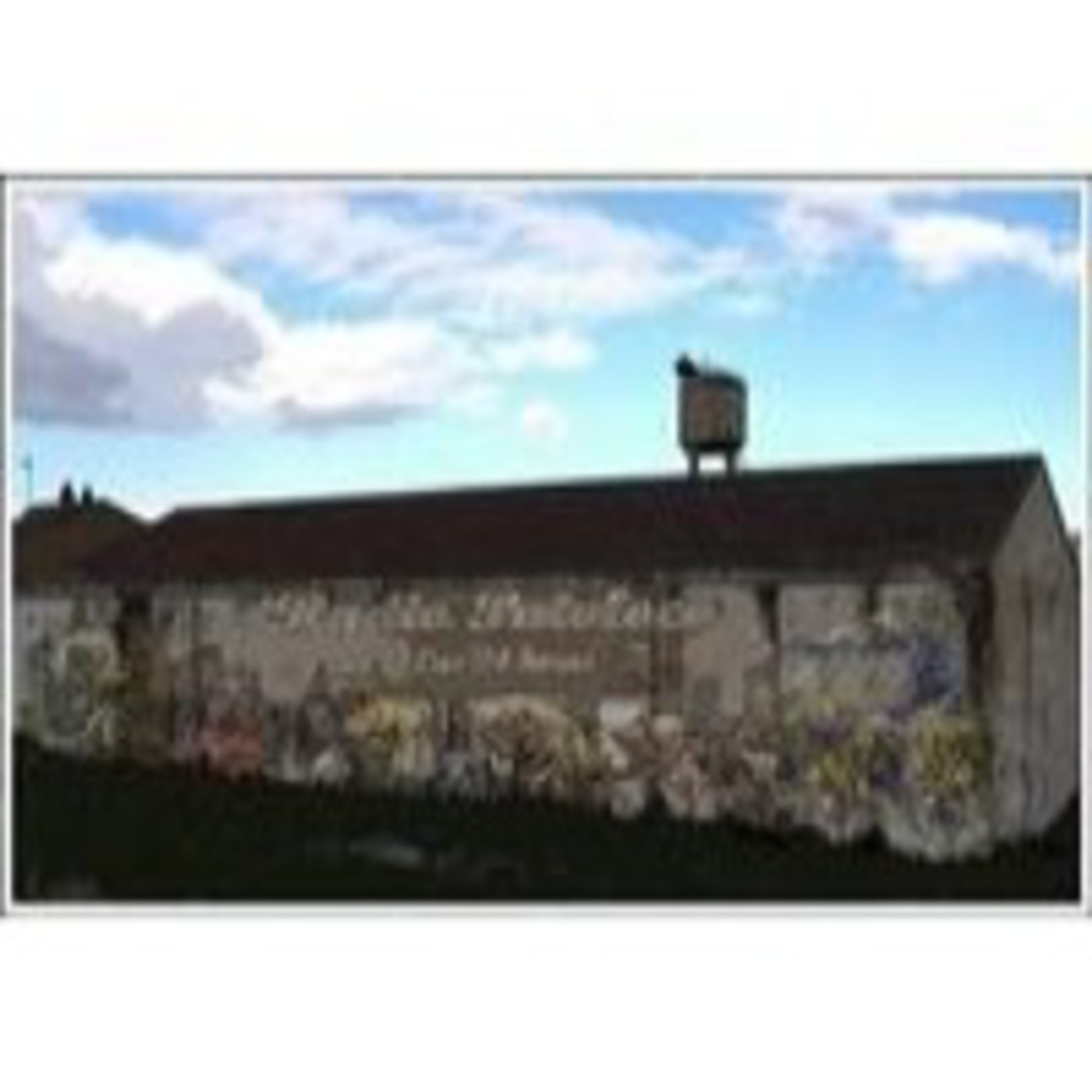 Podcast RADIOPATOLOCO EMISIONES