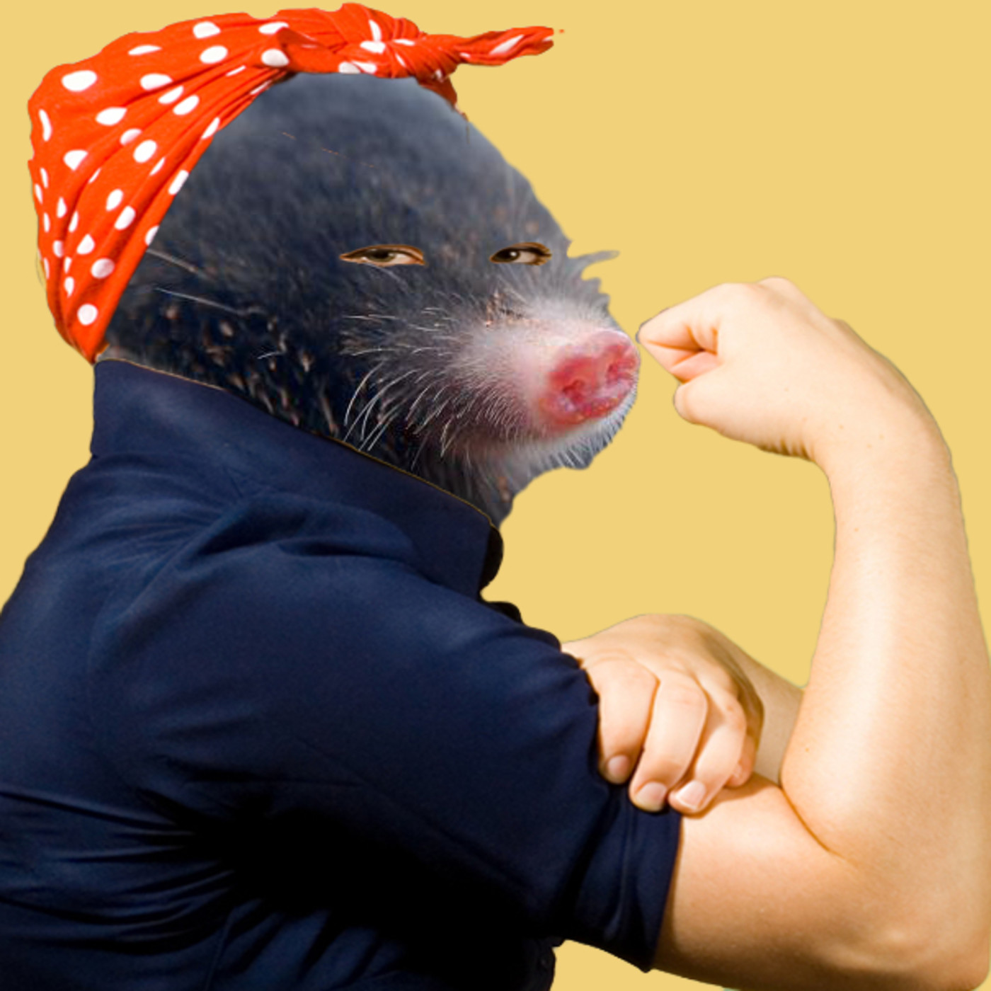 La madre del topo radio
