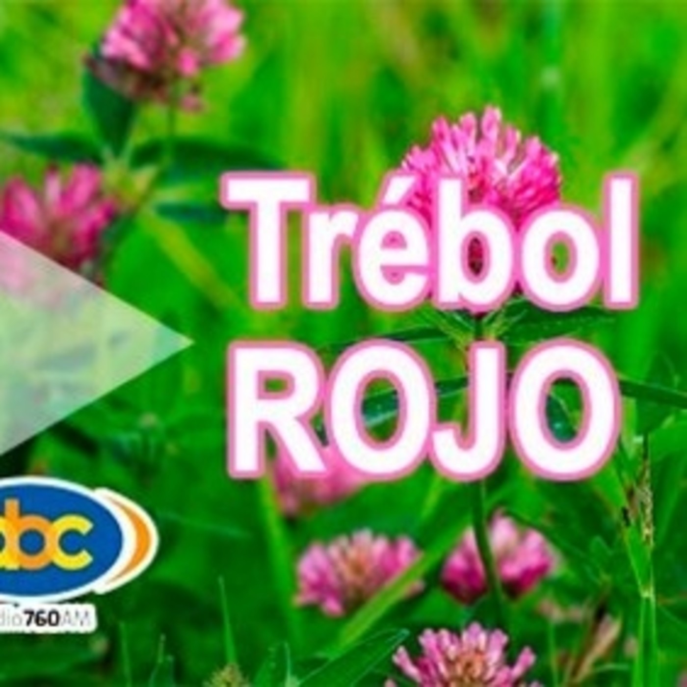 El Ángel de tu Salud - TRÉBOL ROJO episode artwork