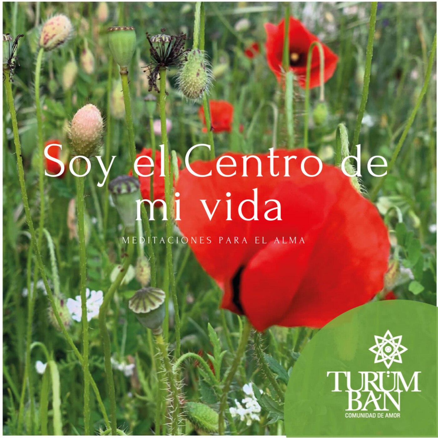 Meditaciones para el Alma