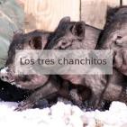 5 Rita Maestre, Lo que hacemos en las sombras y más cosas