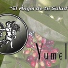 El Angel de tu Salud - YUMEL I