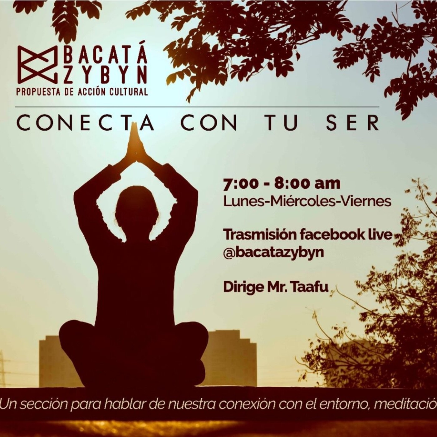 Conecta Con Tu Ser - Bacatá Zybyn