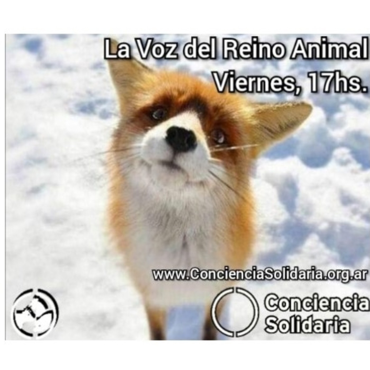 Extracto del programa radial #LaVozDelReinoAnimal! episode artwork