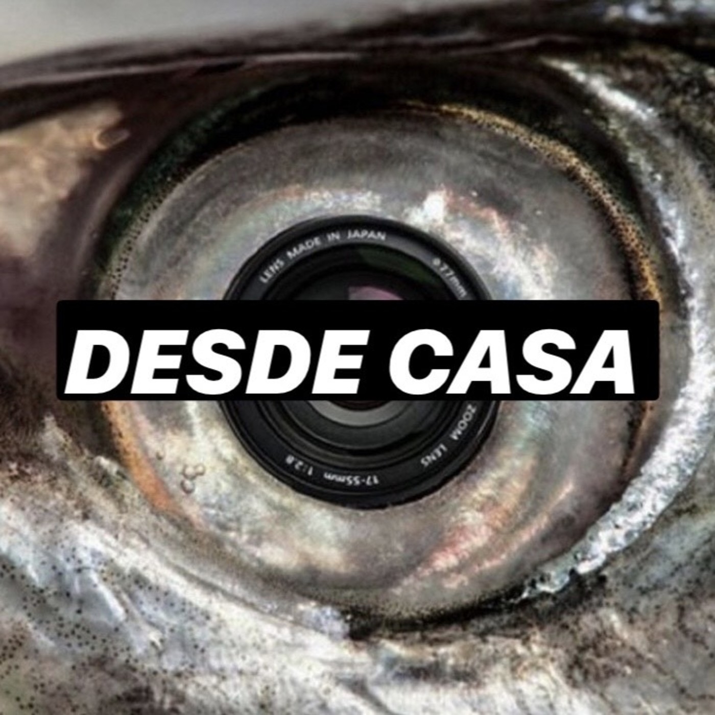 Ojo de Pez
