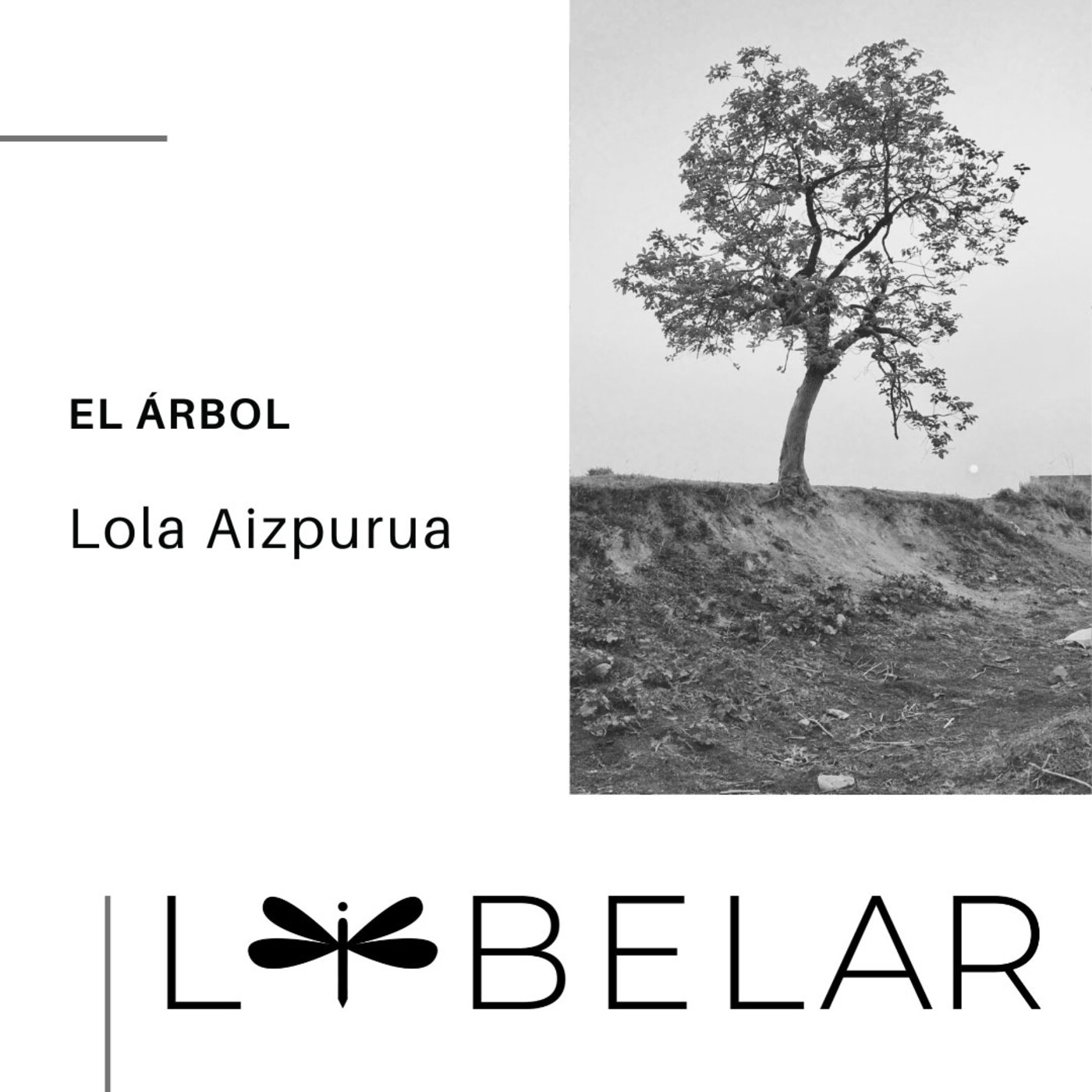 Libelar, vuelan las palabras...