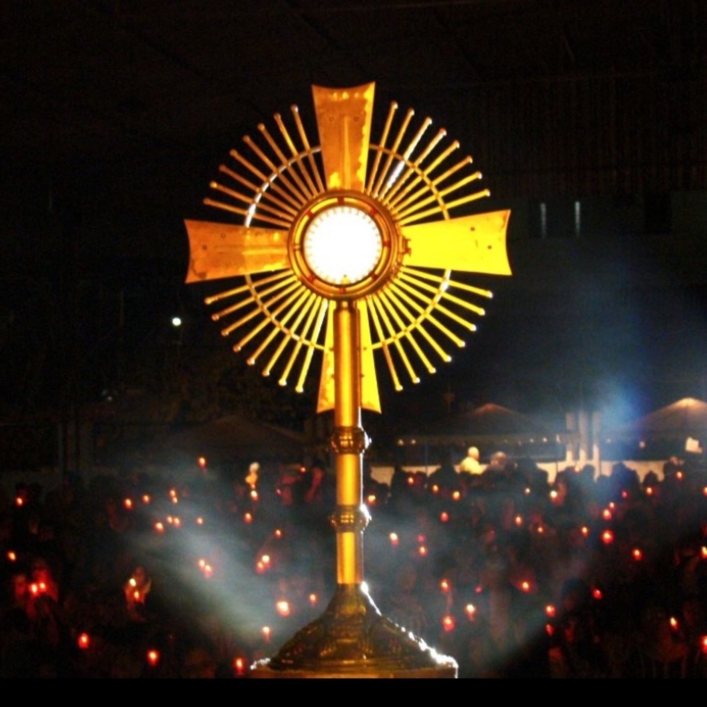 Oraciones en la Divina Voluntad