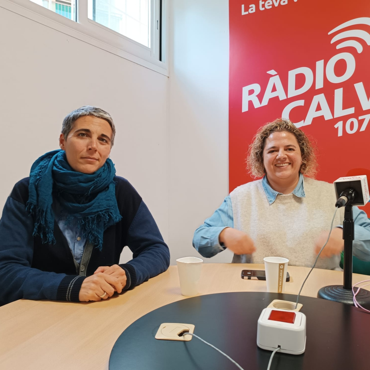 Institut de Formació i Ocupació de Calvià