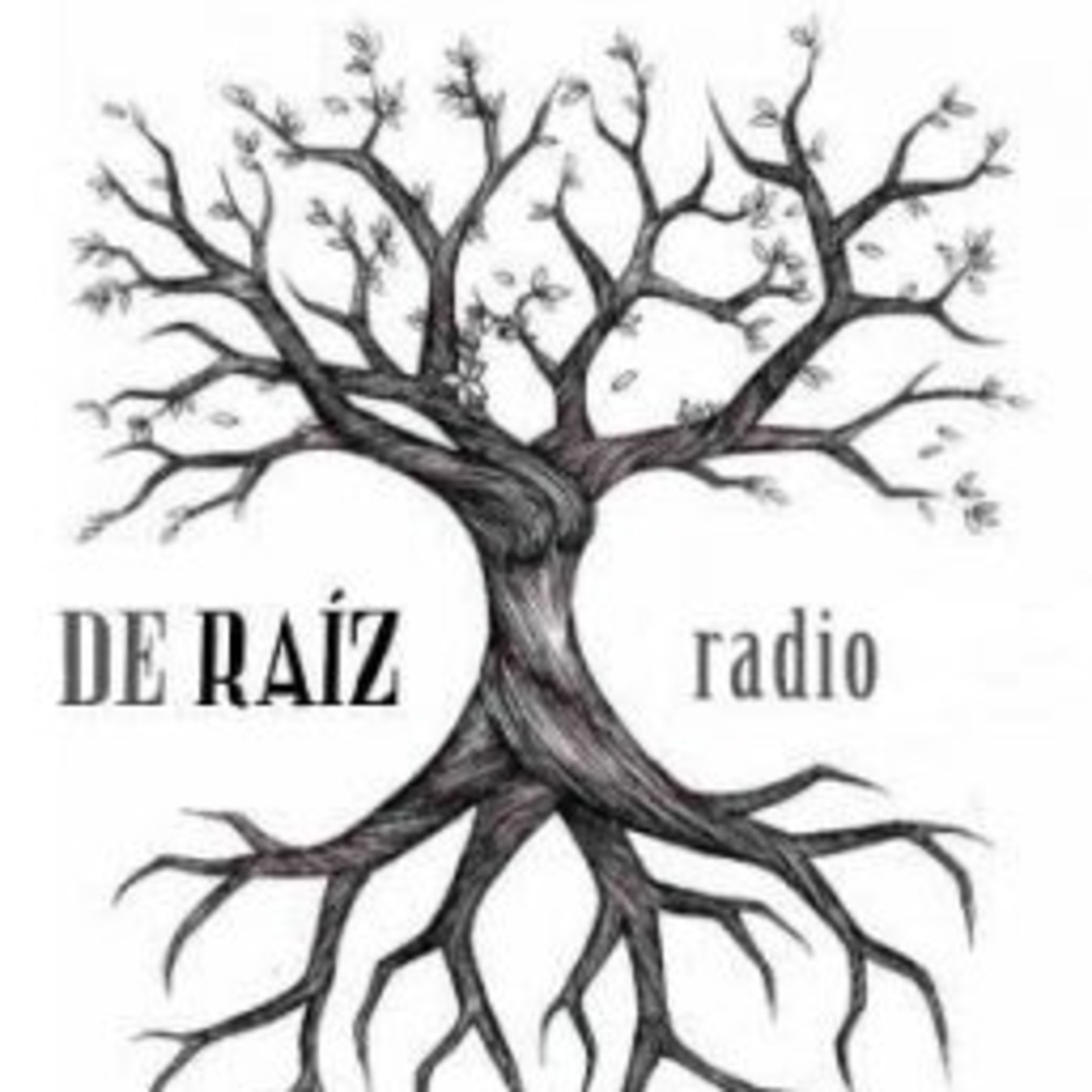 De Raíz Radio
