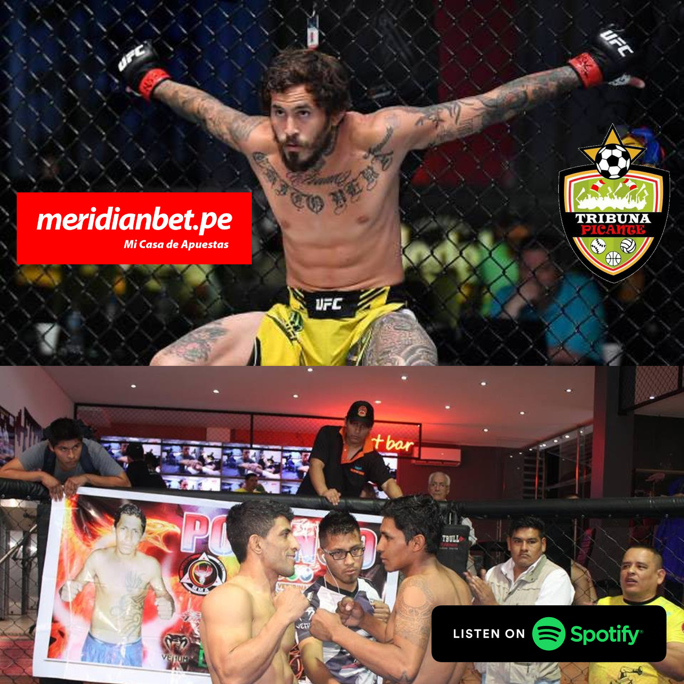 Podcast - Análisis de la actualidad del MMA en el Perú y el Mundo