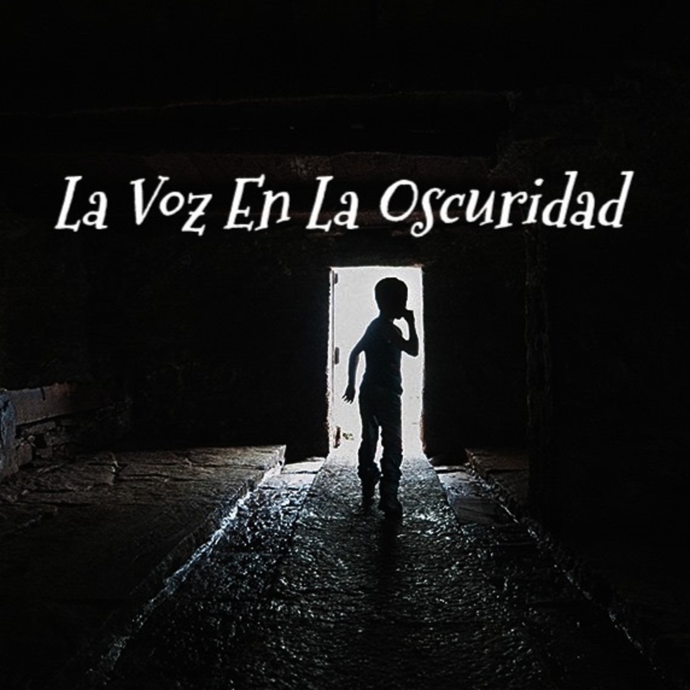 La Voz en la Oscuridad