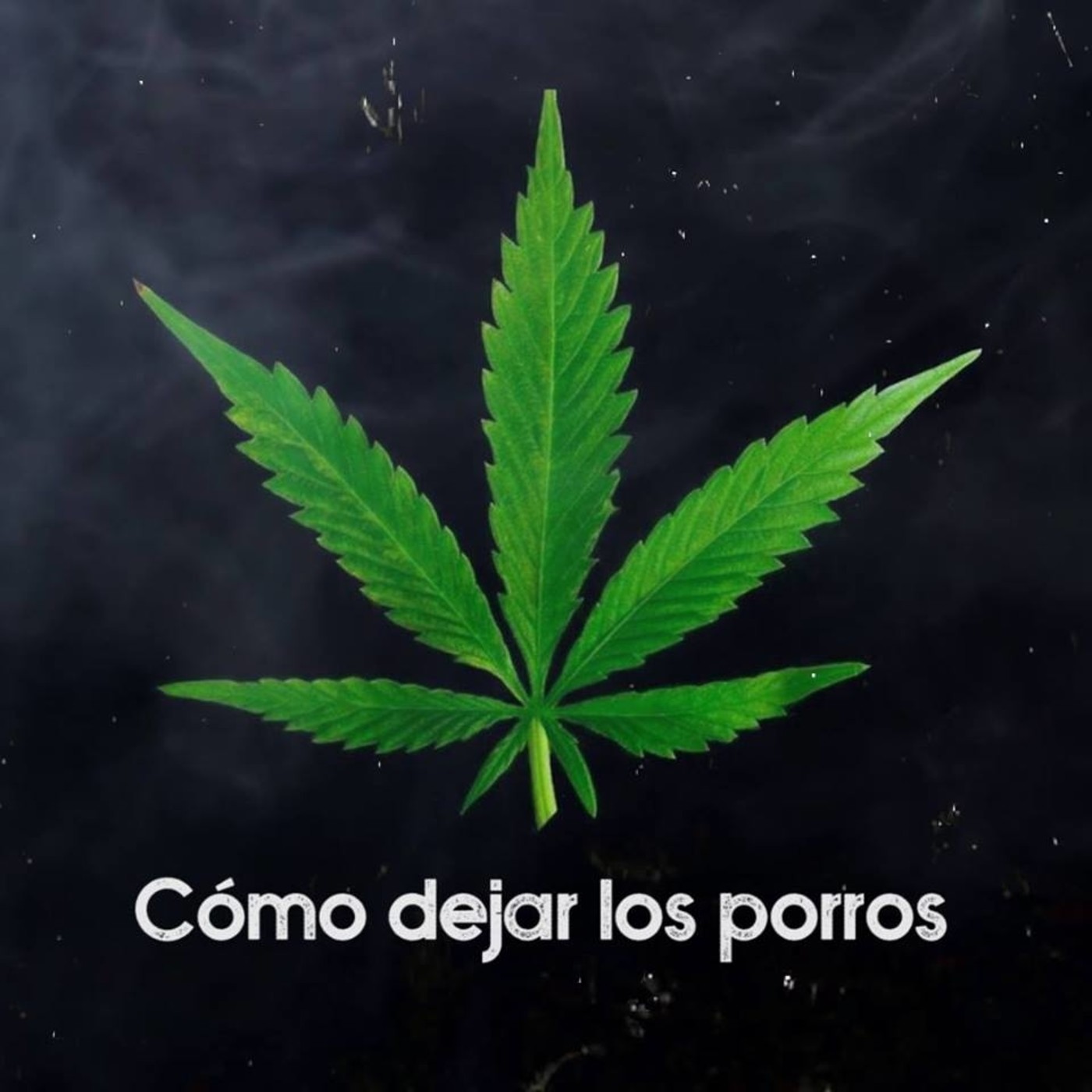 Cómo dejar los porros
