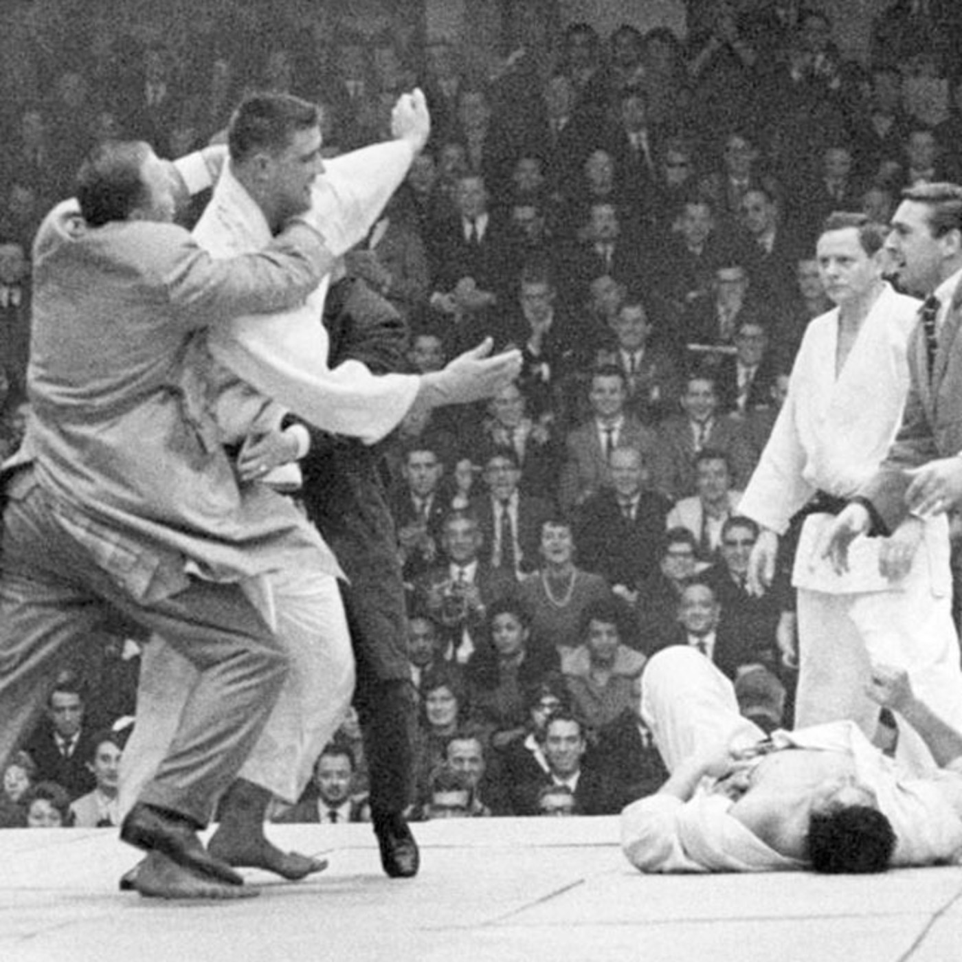 Dragonz | Artes Marciales y Deportes de Contacto
