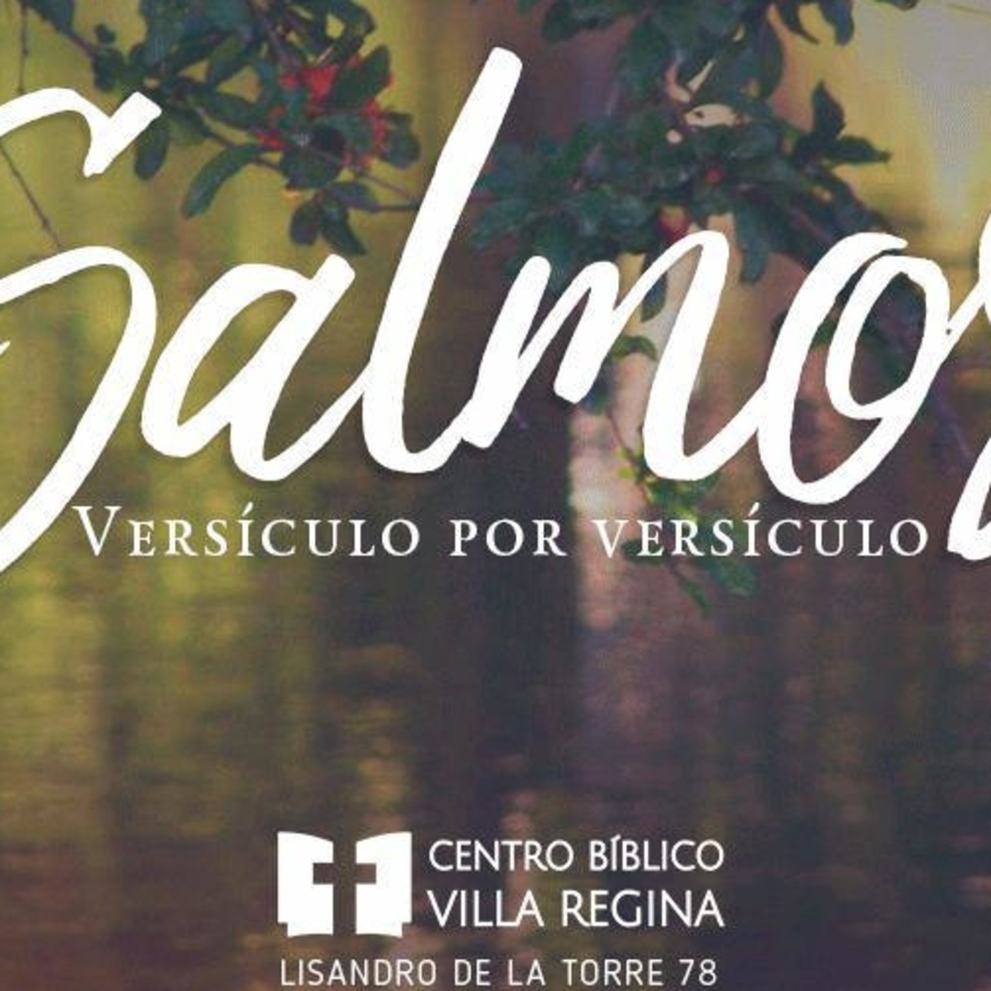 Salmos, versículo por versículo
