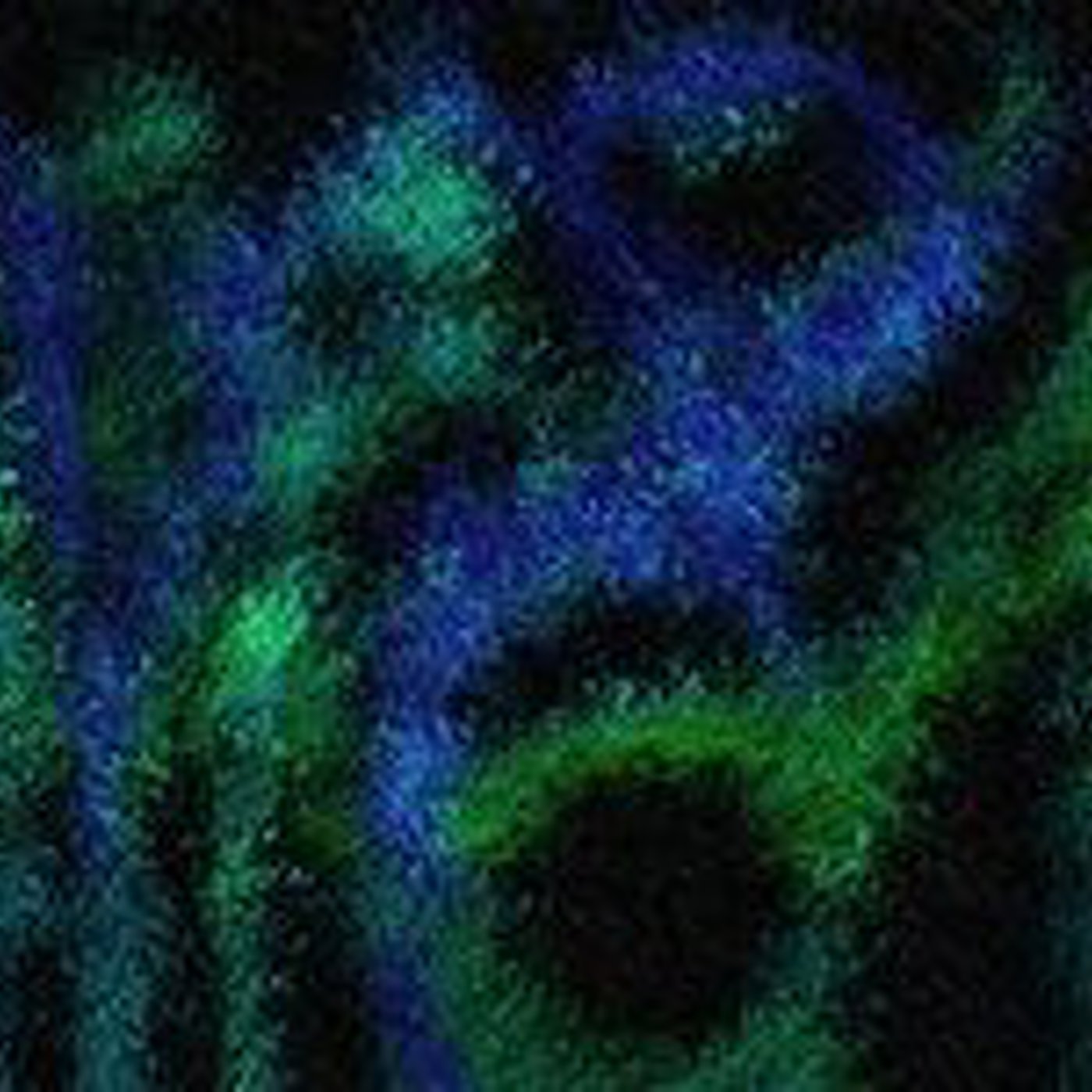 INVESTIGADORES DE CAMPO OVNI UNIDOS (I.C.O.U)