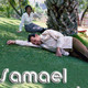 embed image