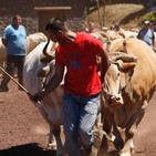 El Cabildo de La Palma pedirá una investigación sobre el REA de 2018.