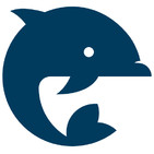 embed image