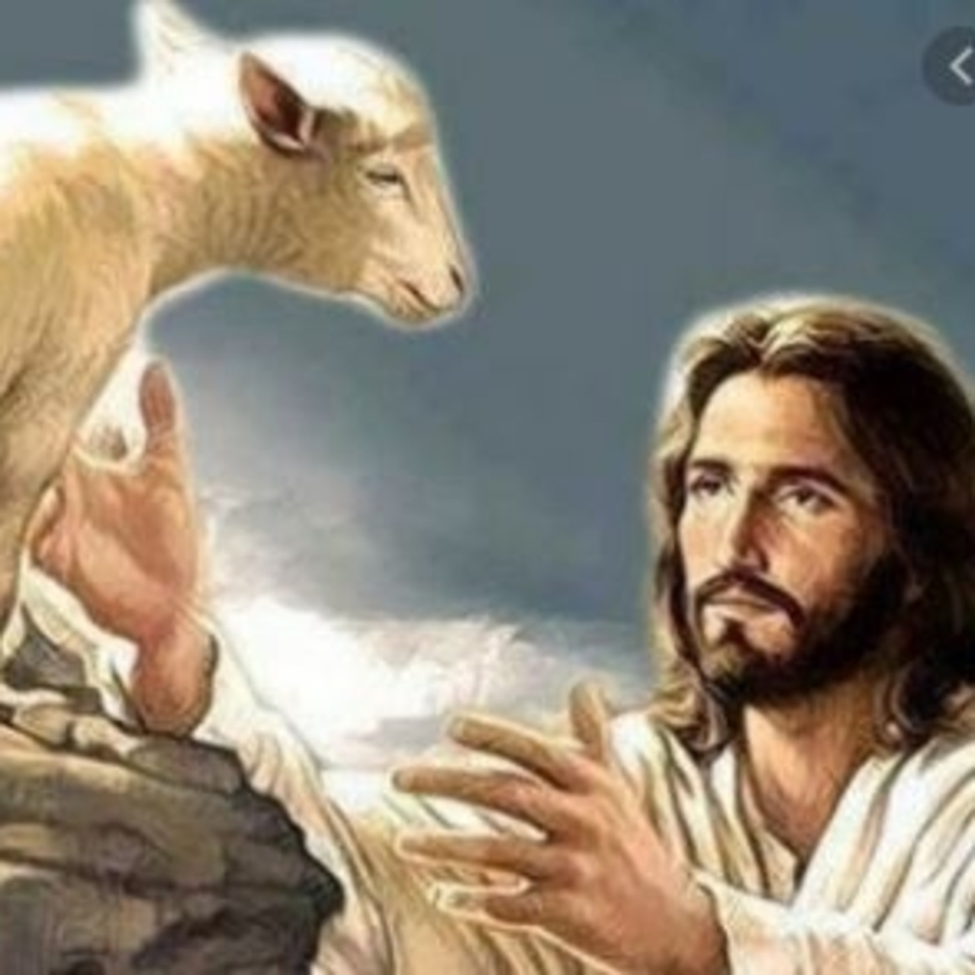 Homily for IV Sunday of Easter - Year A thumbnail