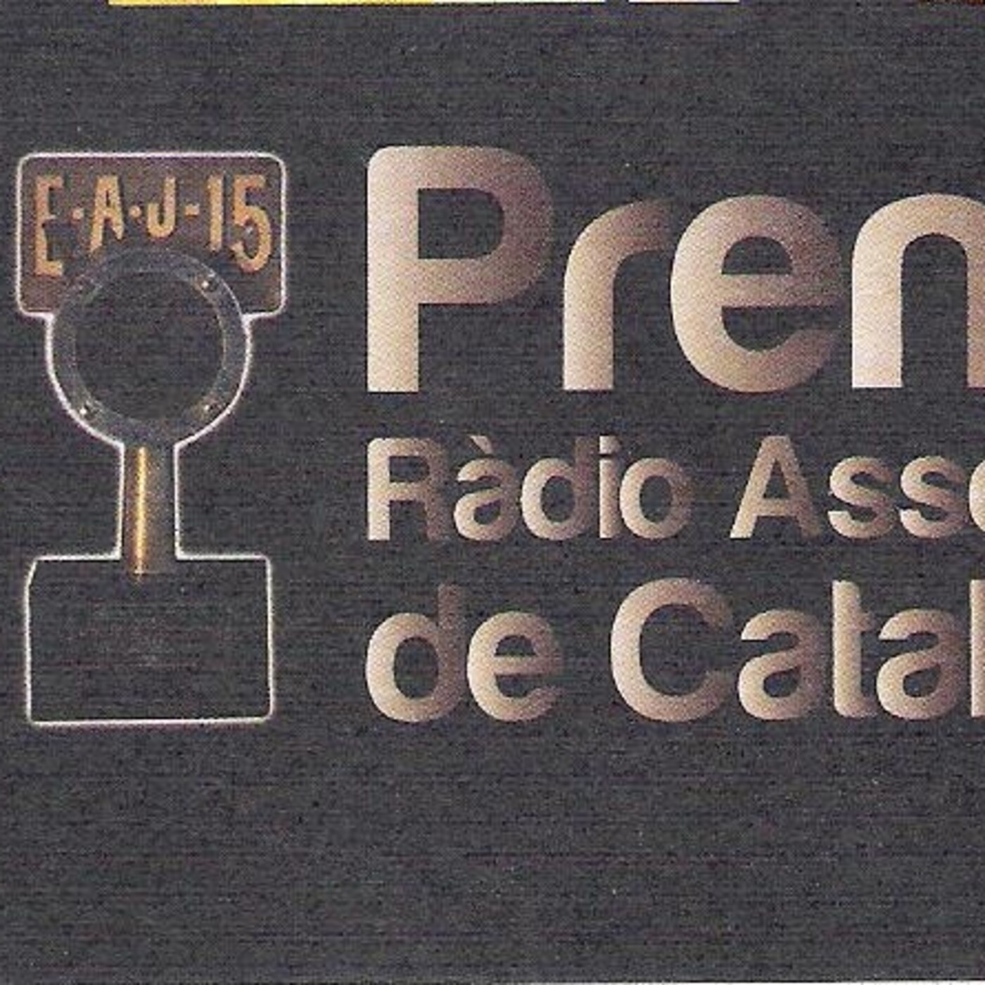 Podcast Radio +