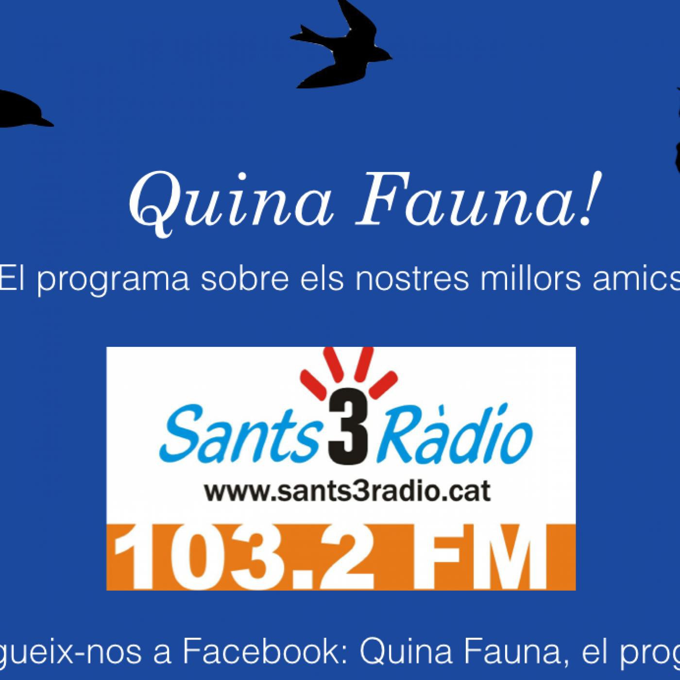 Quina Fauna