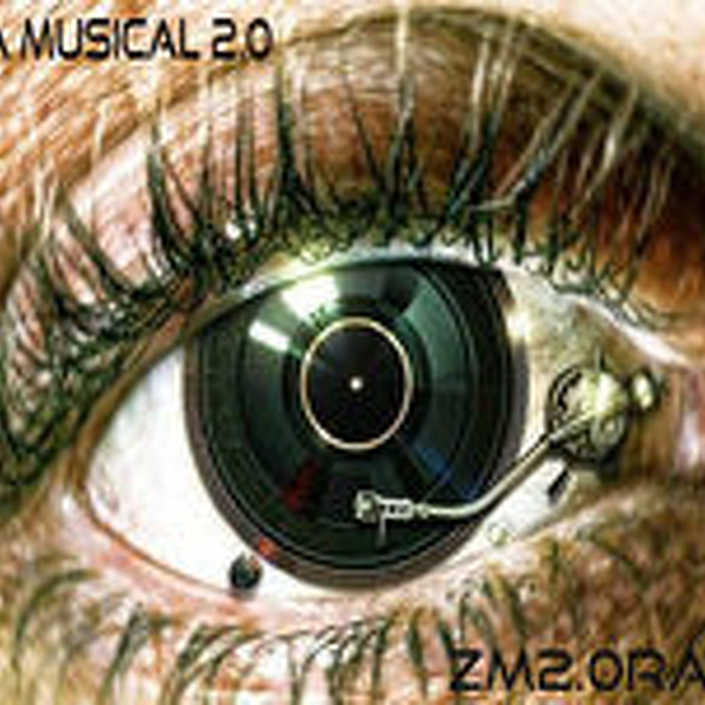 ZM2.0RADIO : Zona Musical 2.0 31012015