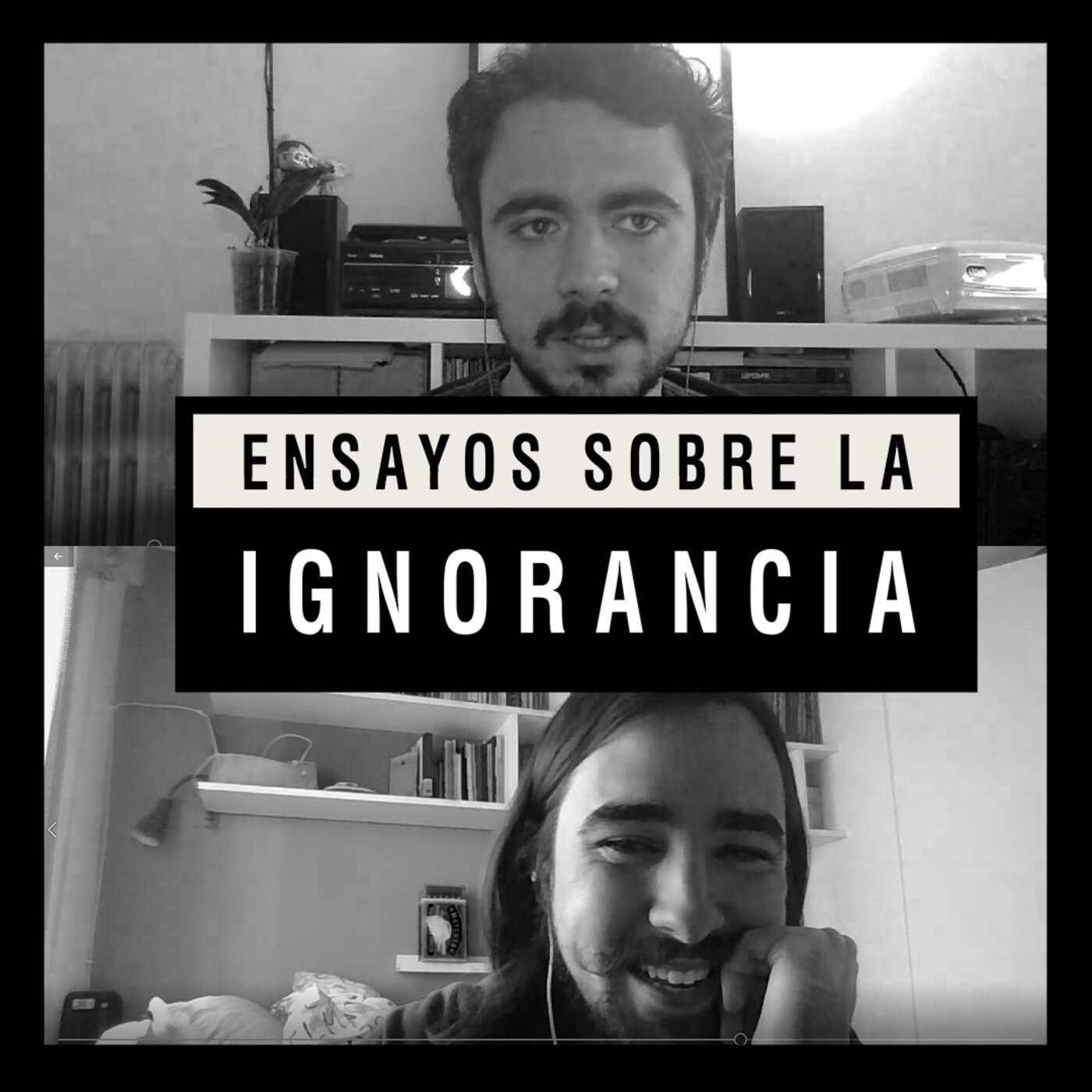 Ensayos sobre la ignorancia
