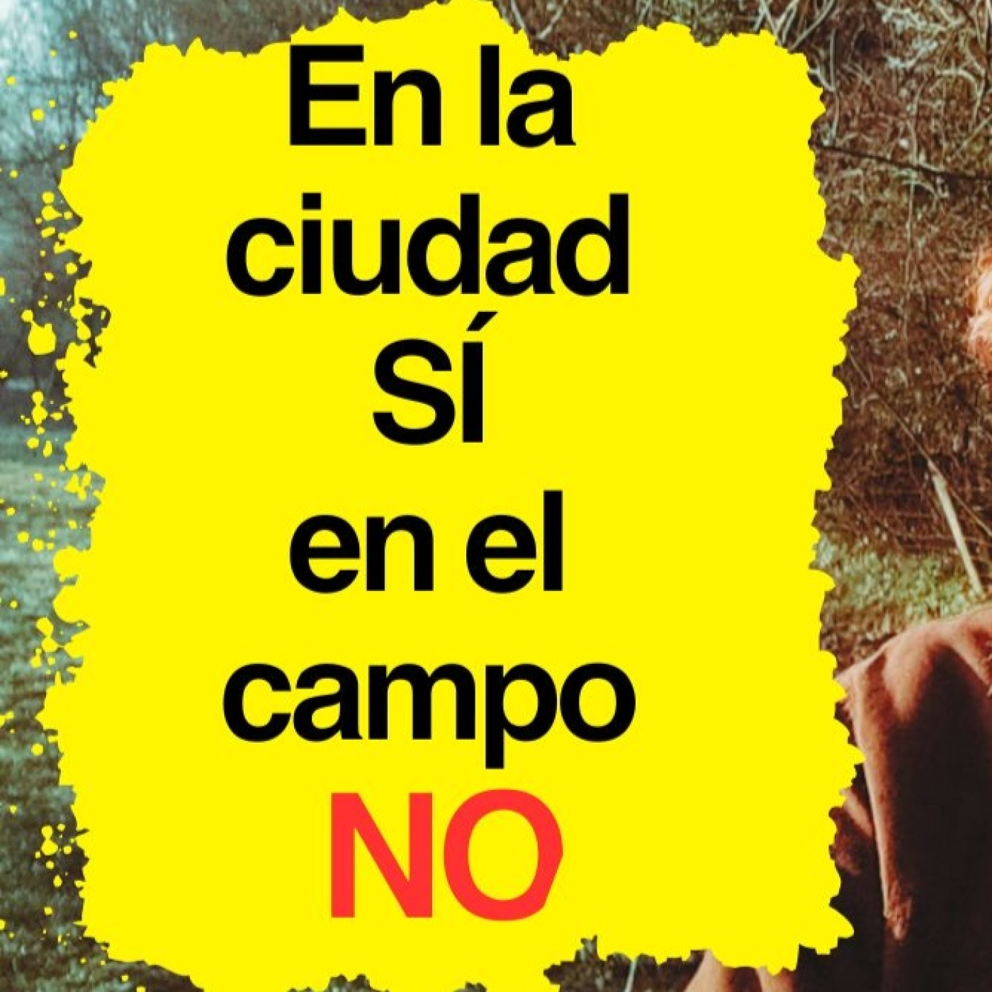 Por qué hay negocios o profesiones que funcionan en la ciudad… y en el campo no