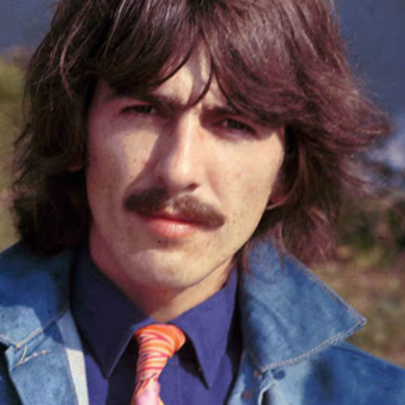Proyecto Beatle