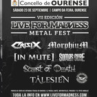 Diario de un M. 343. LIVE FOR MADNESS