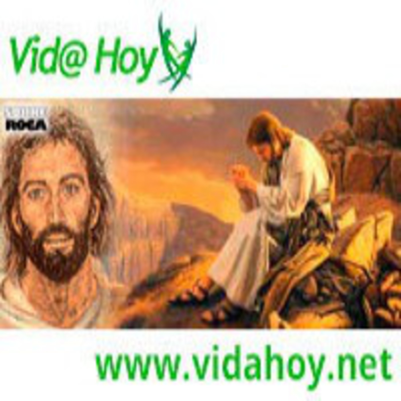 VidaHoy