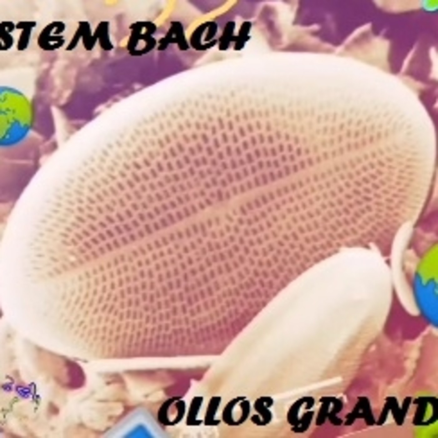 STEM Ollos Grandes Podcasting