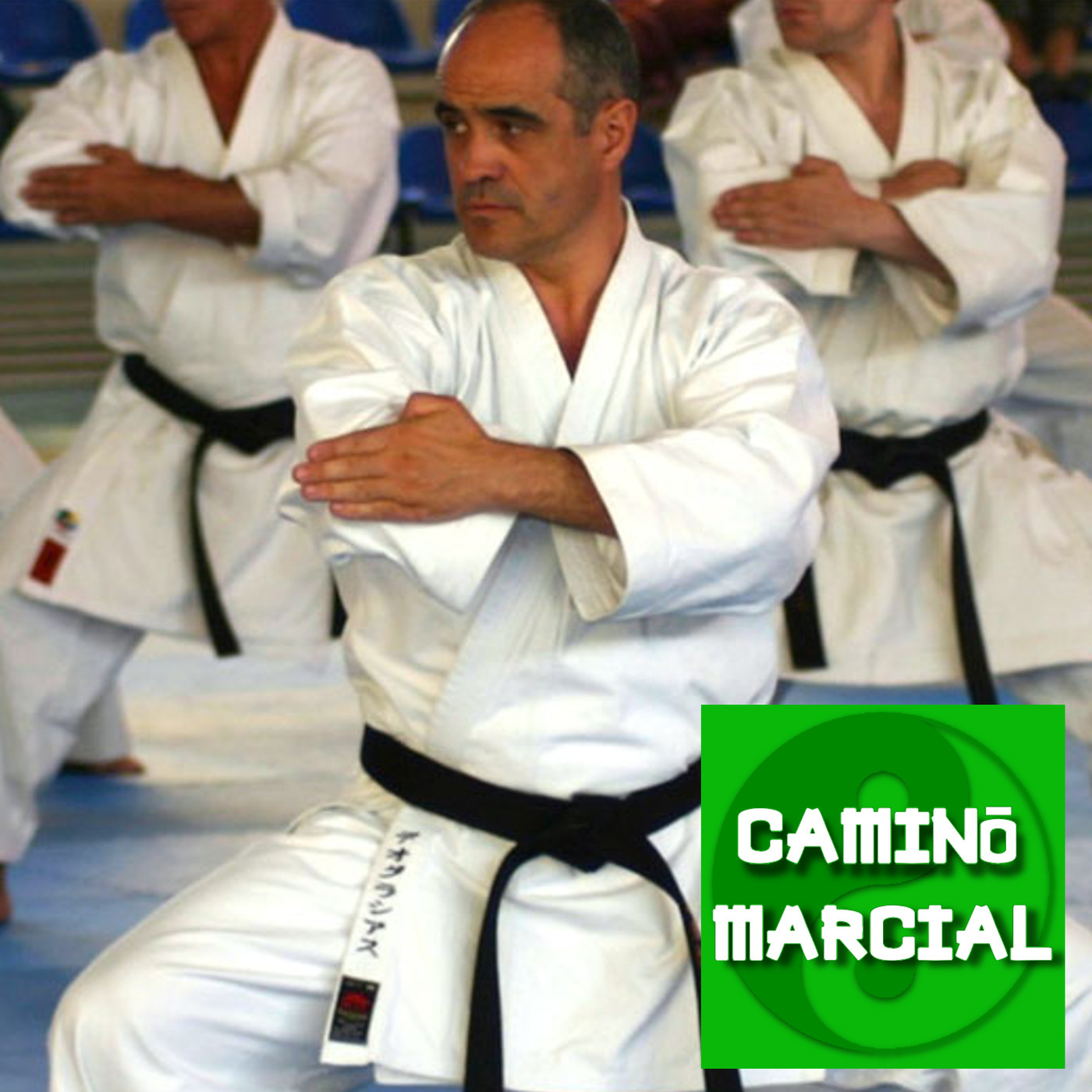 CAMINO MARCIAL - Podcast de Artes Marciales
